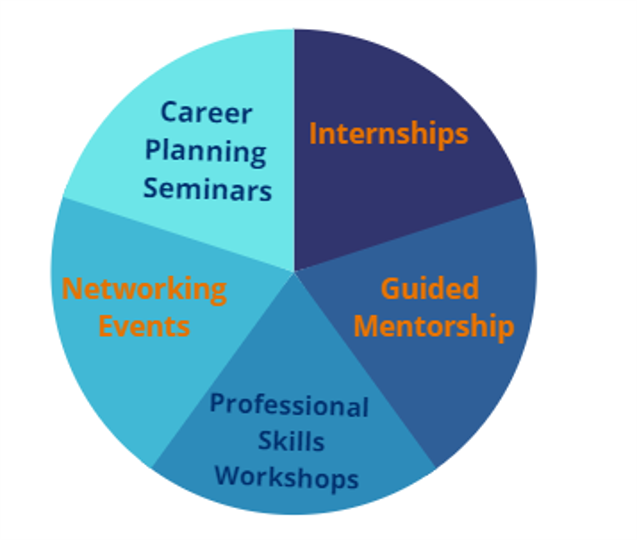 Career and Professional Development Wheel 